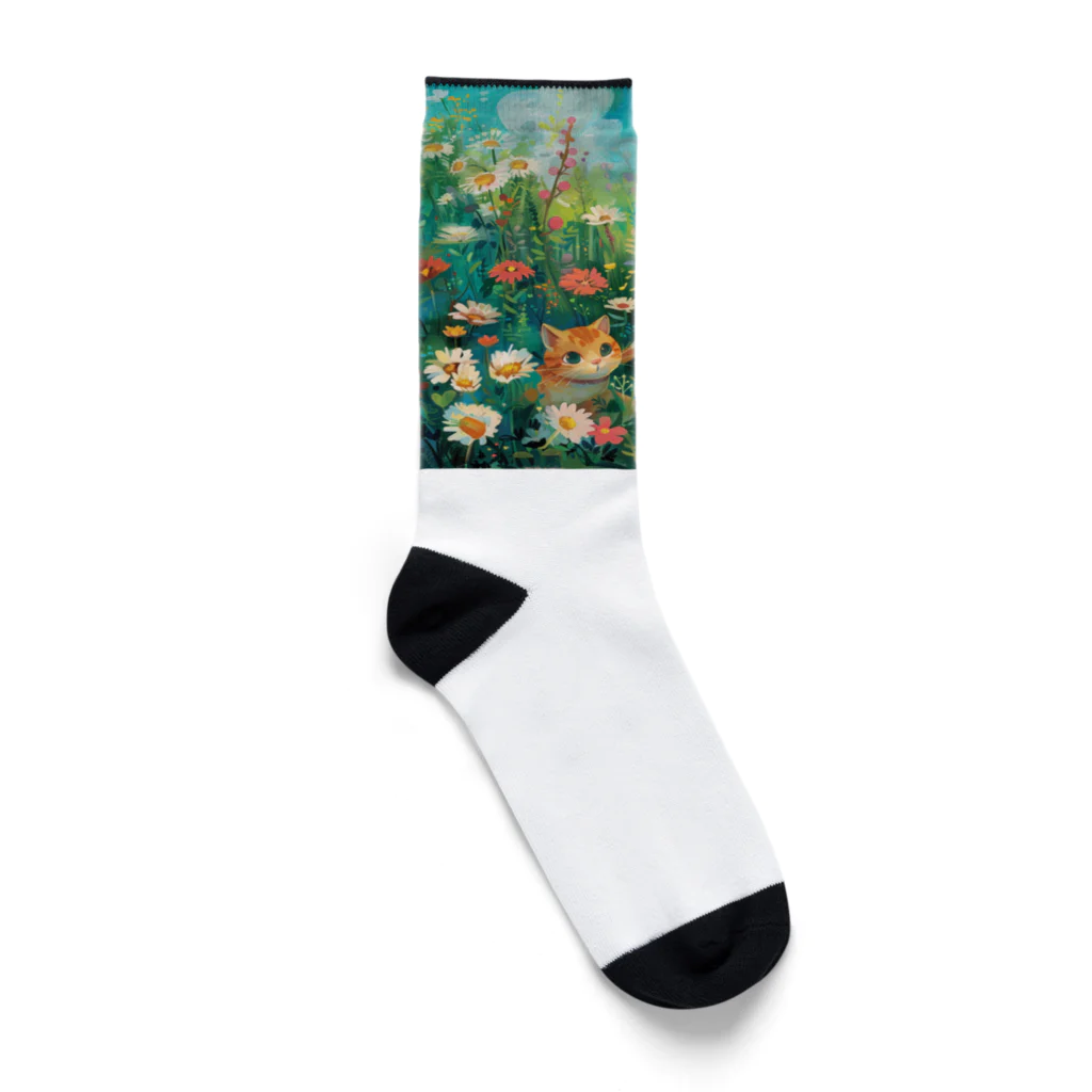 AQUAMETAVERSEのお花畑に囲まれる猫ちゃんと私 アメジスト 2846 Socks