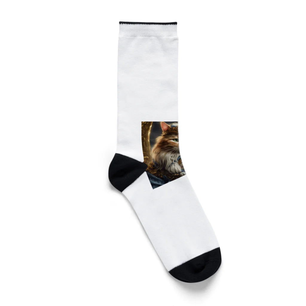 だんのんの猫王国の王様 Socks