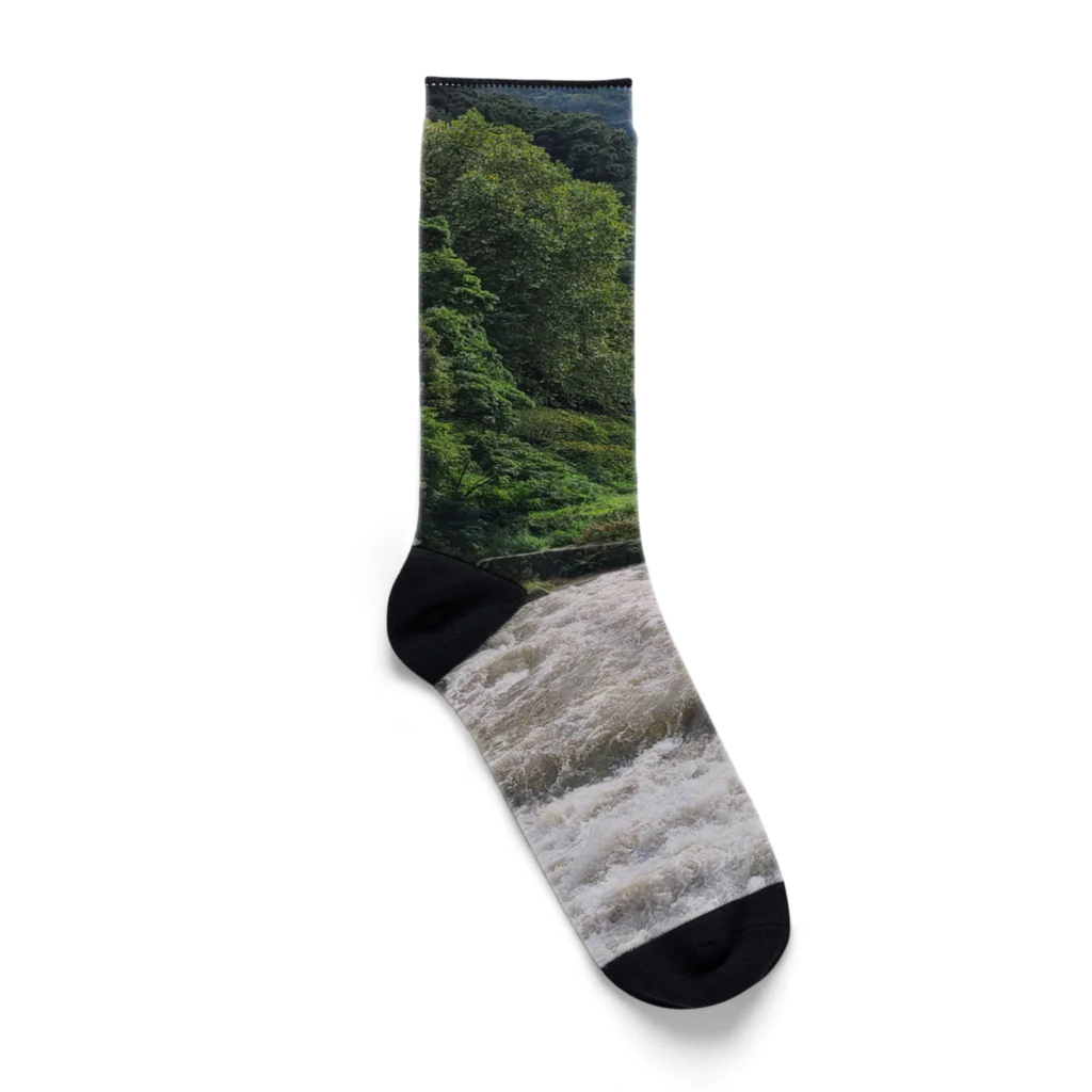 TACOIKAのHakone　RainyDay Socks