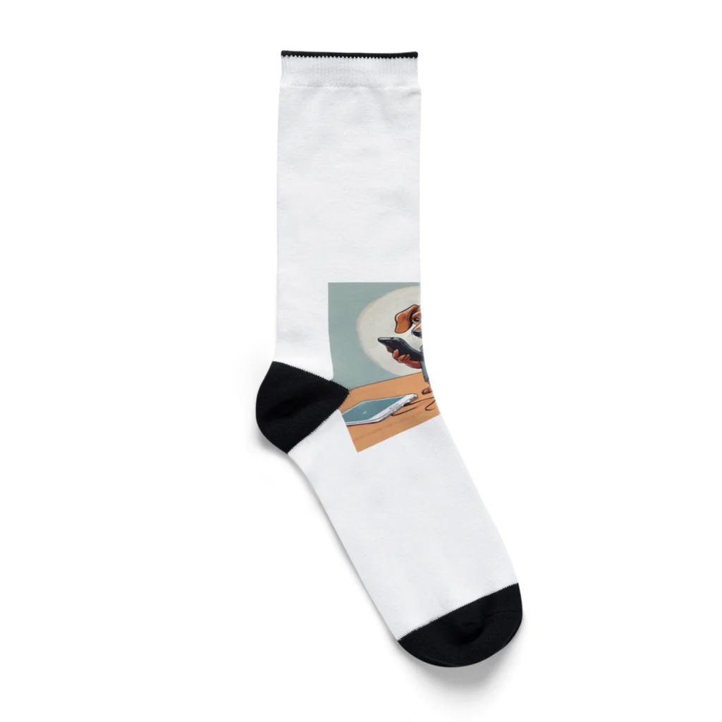 Runのスマホ依存症のダックスフント Socks