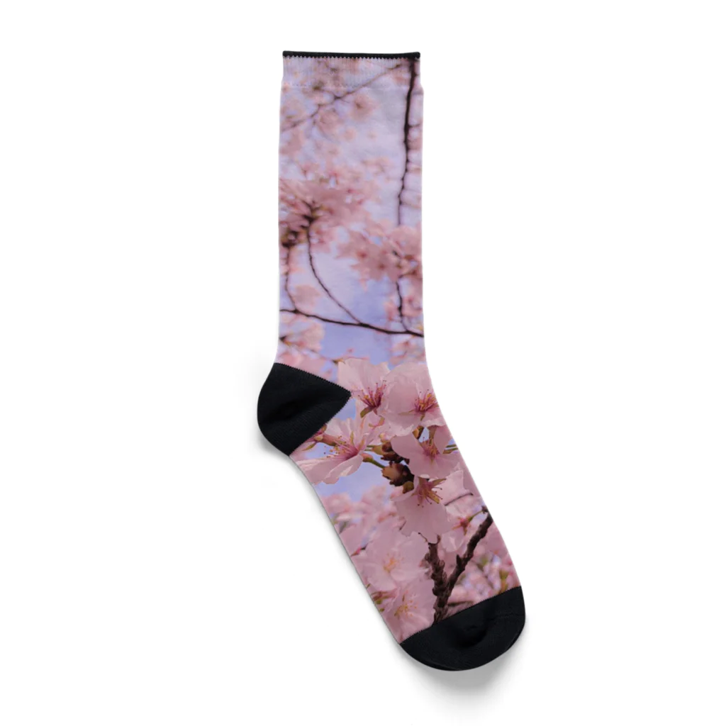 AoIto の自然を愛するAoIto ファームグッズ Socks