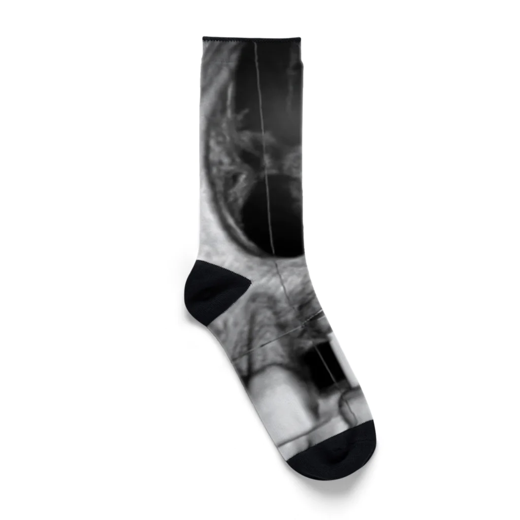 Atelier501のTHE implant Socks