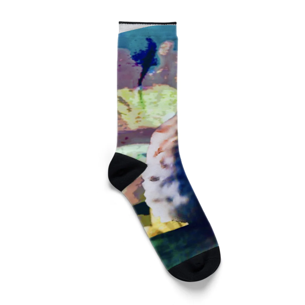 猫に恩返しのOPEN THE TORA  Socks