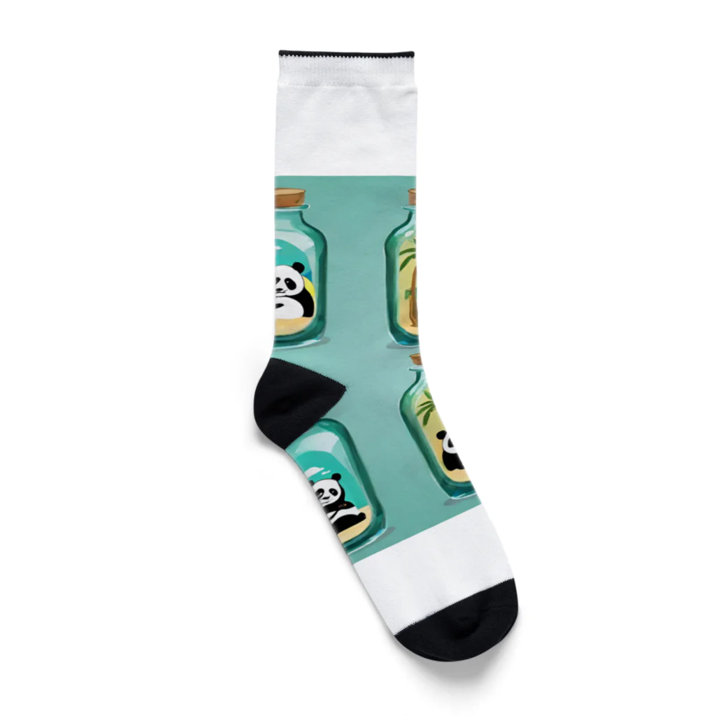 pandownloadのガラス瓶の中のヤシの木パンダ Socks