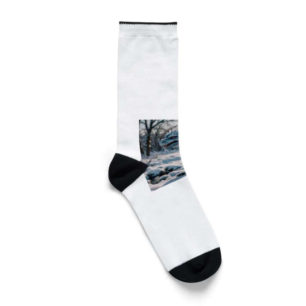 幻想都市の氷のドラゴン Socks