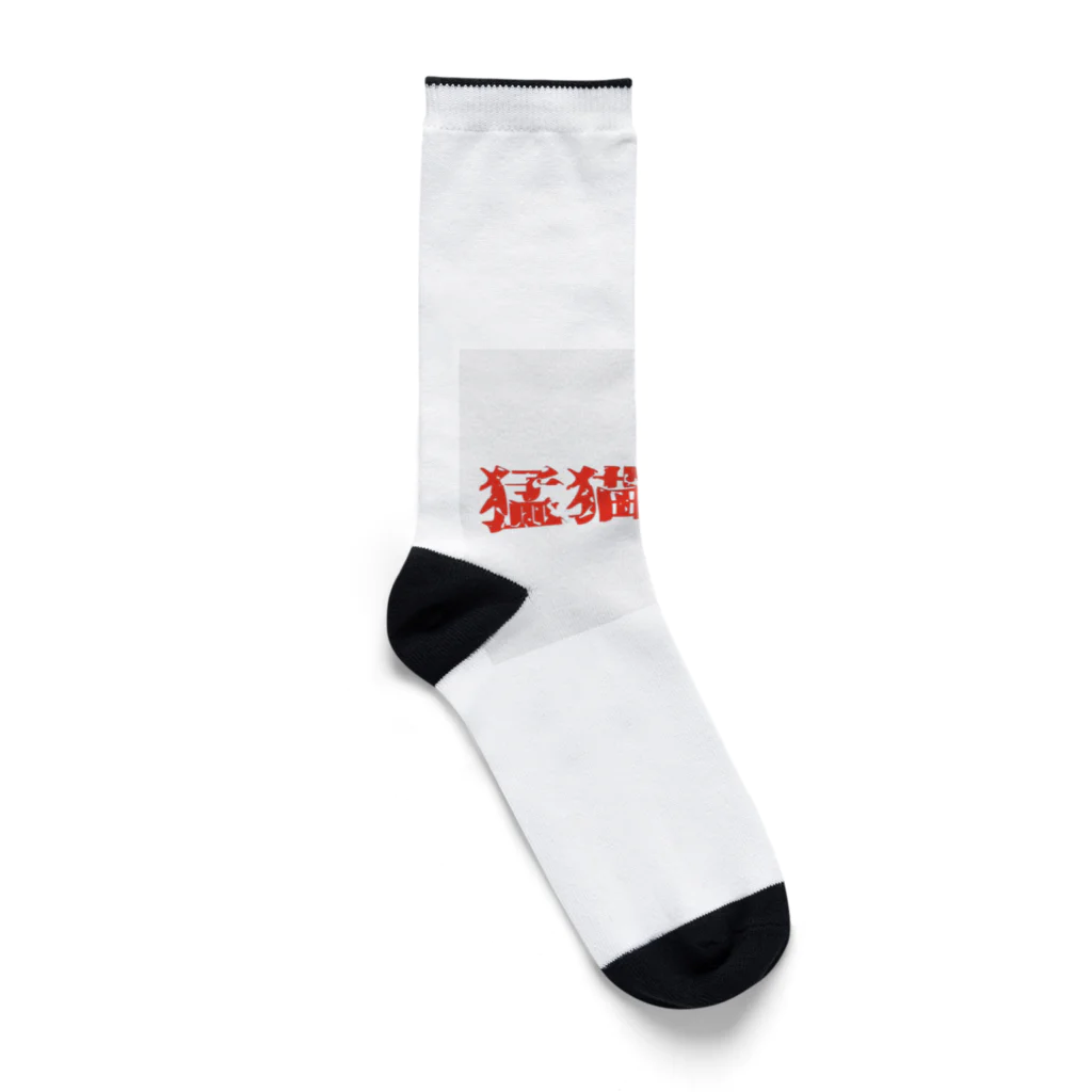 よりパパの猛猫注意 Socks