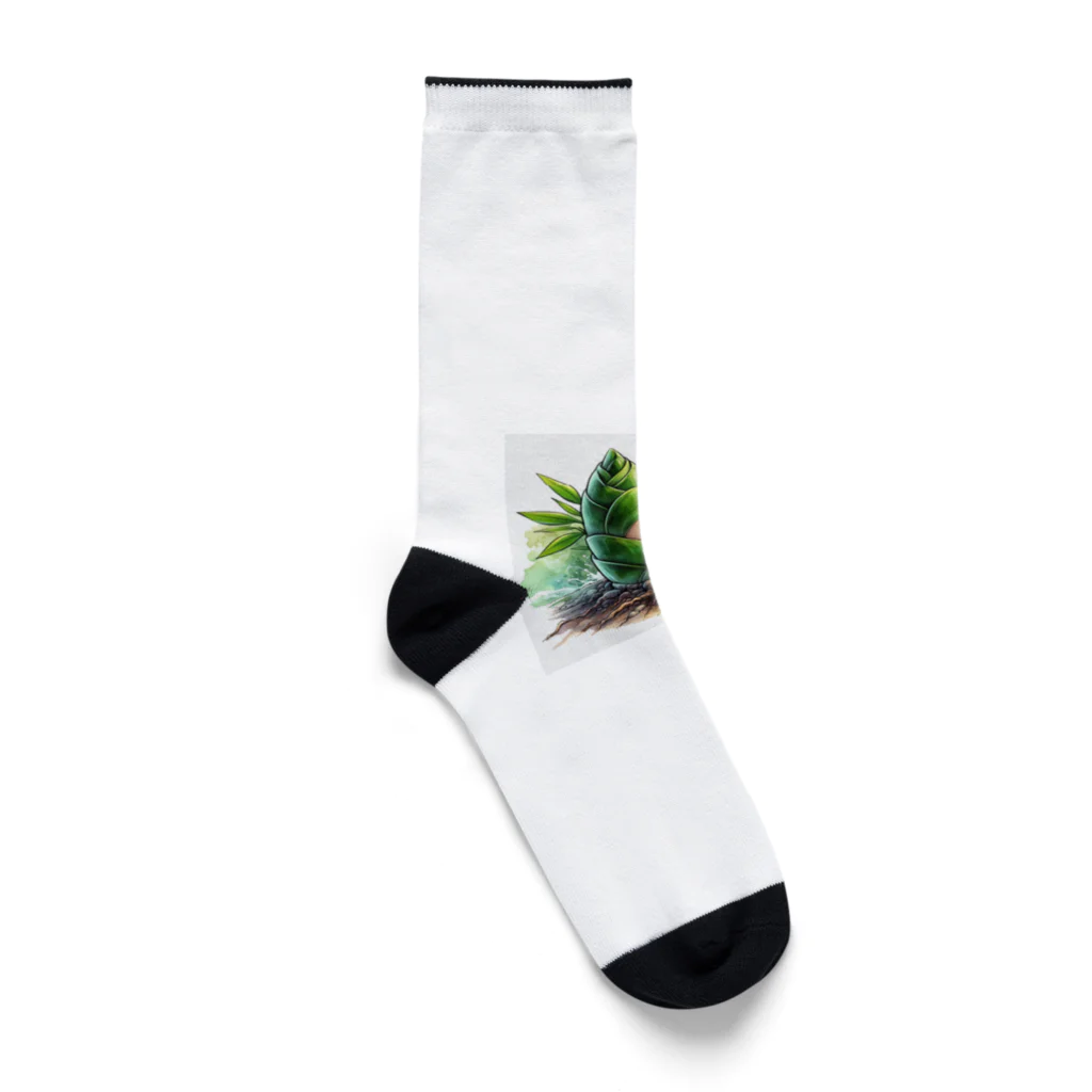 yielanggo007の緑の竹の子 Socks