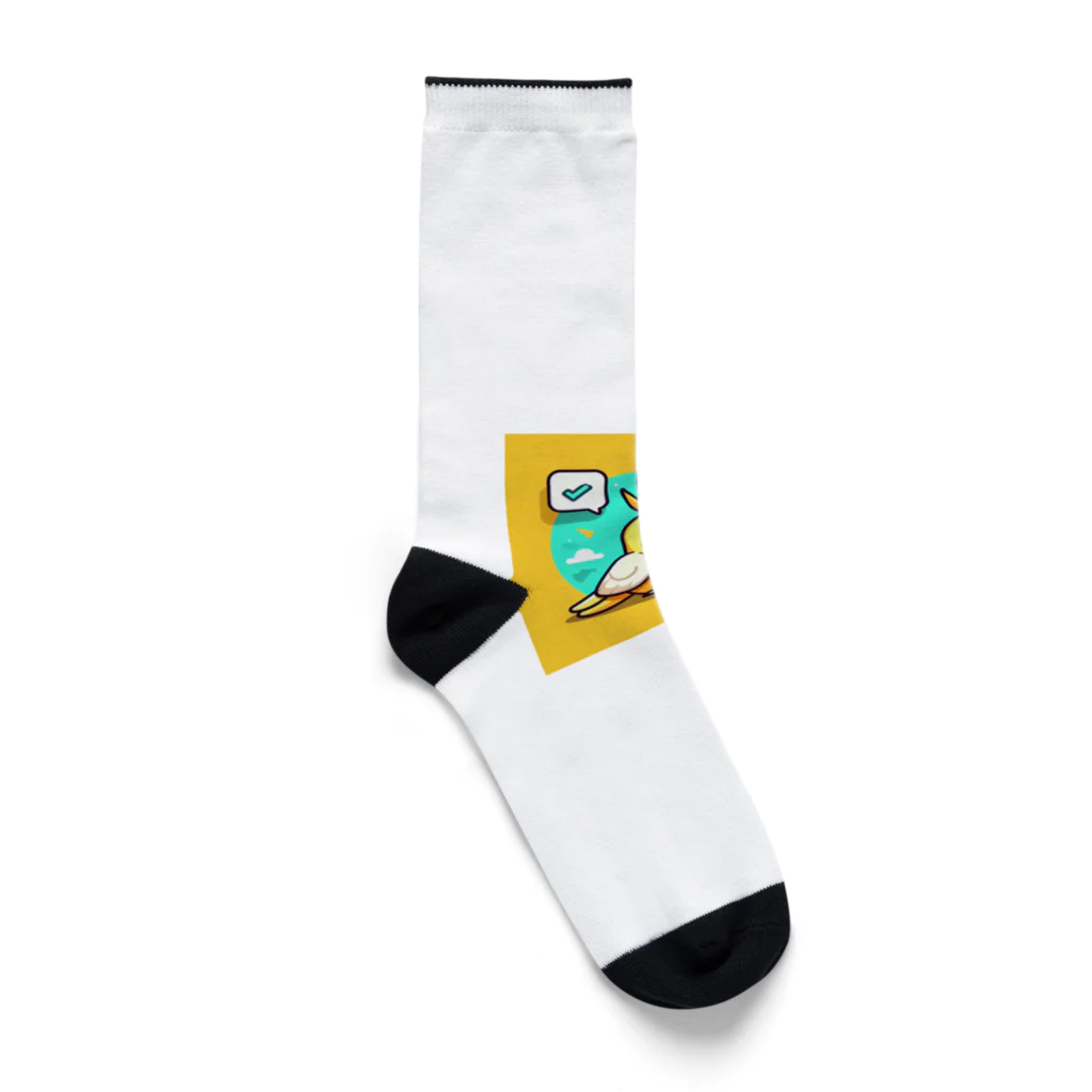 32 310のオカメインコ Socks