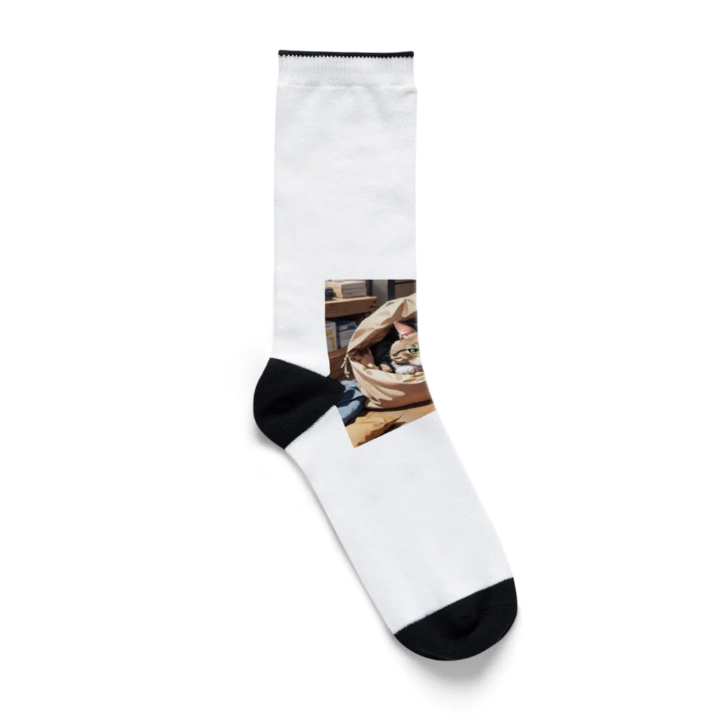 KikimimiネコのKikimimiネコ（袋入り） Socks