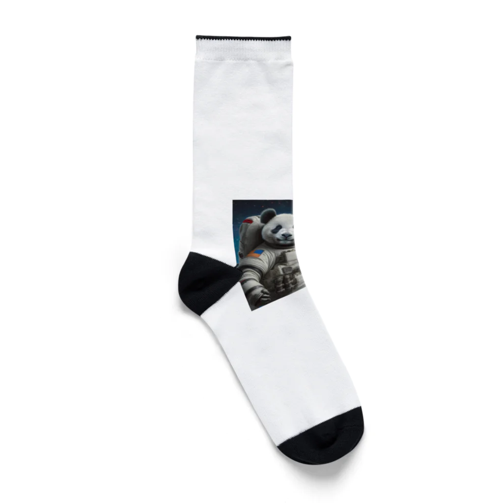 ことまるの宇宙飛行士パンダ Socks