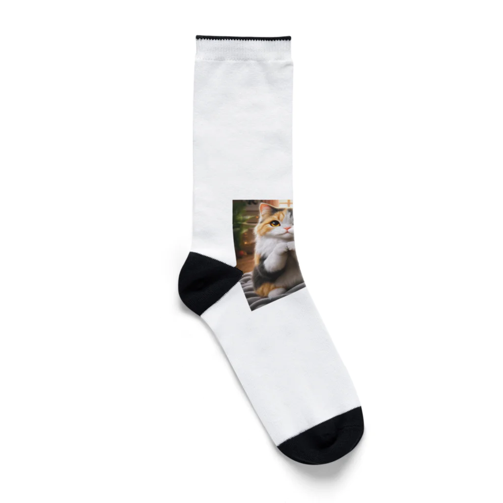 亀蘭タマムシの三毛猫親子のお願い Socks