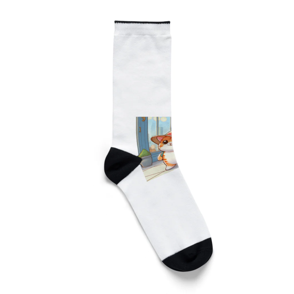 アミュペンのふわふわのネコがお買い物中！ Socks