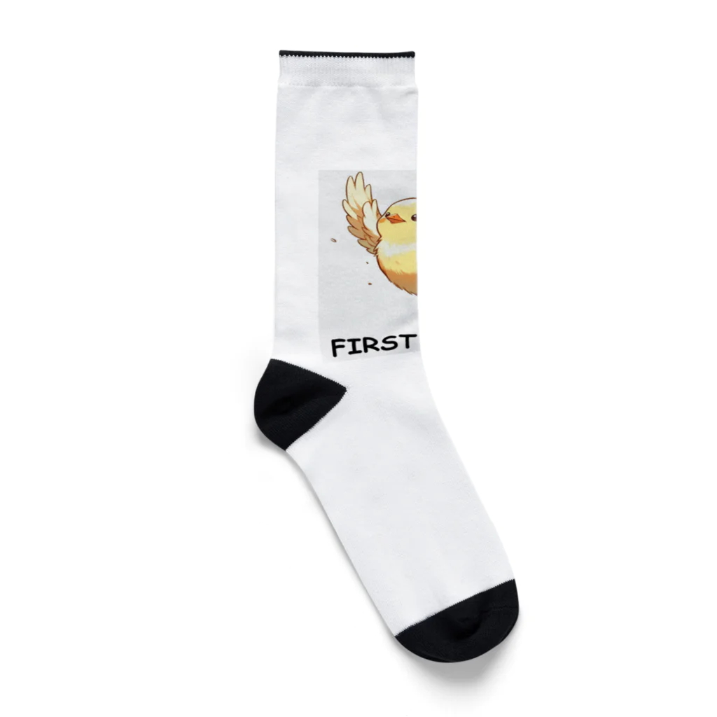 keystoneの初飛行 Socks