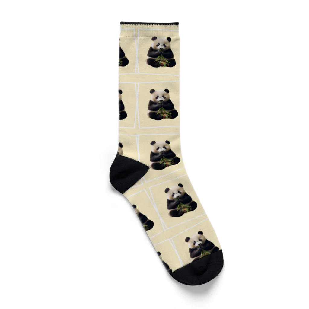 まれショップのパンダ Socks