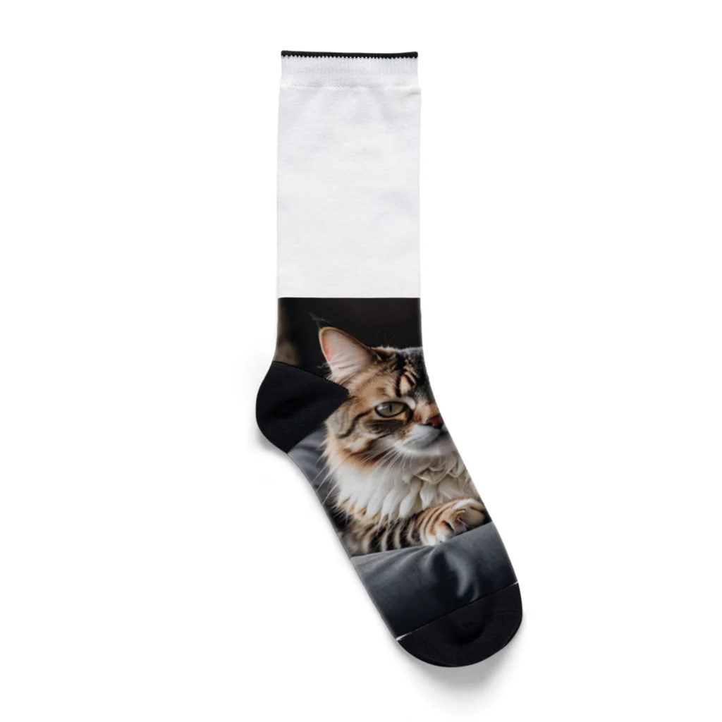 zigerparkのクッションと猫 Socks