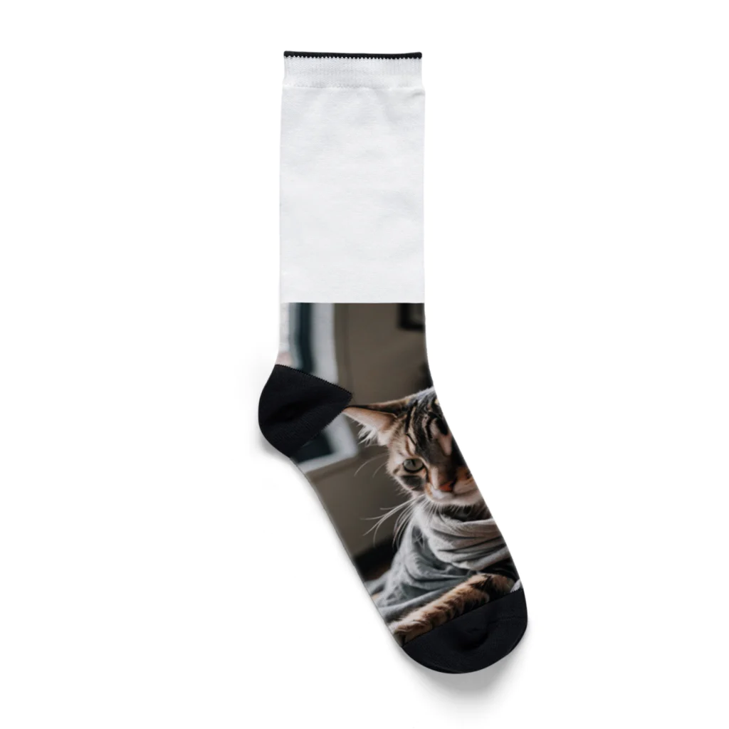 zigerparkの毛布にくるまる猫 Socks