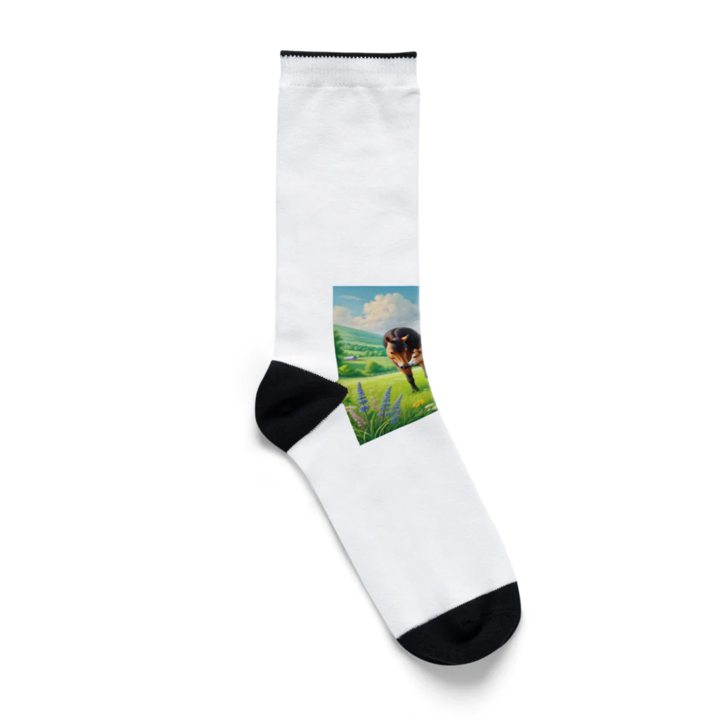 akinyan3128の大丈夫？(お馬の親子) Socks