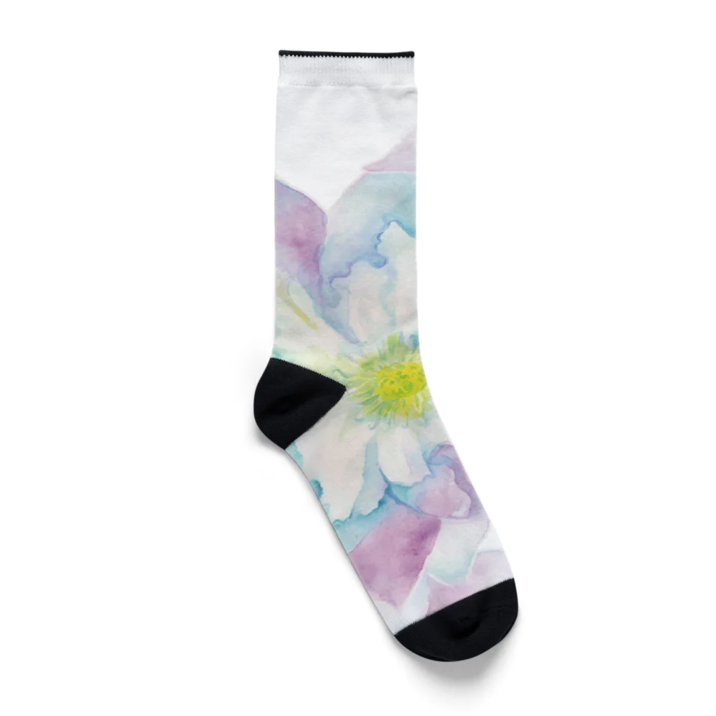 お天気ふたご＊にじいろKaoのにじみ水彩クレマチス Socks