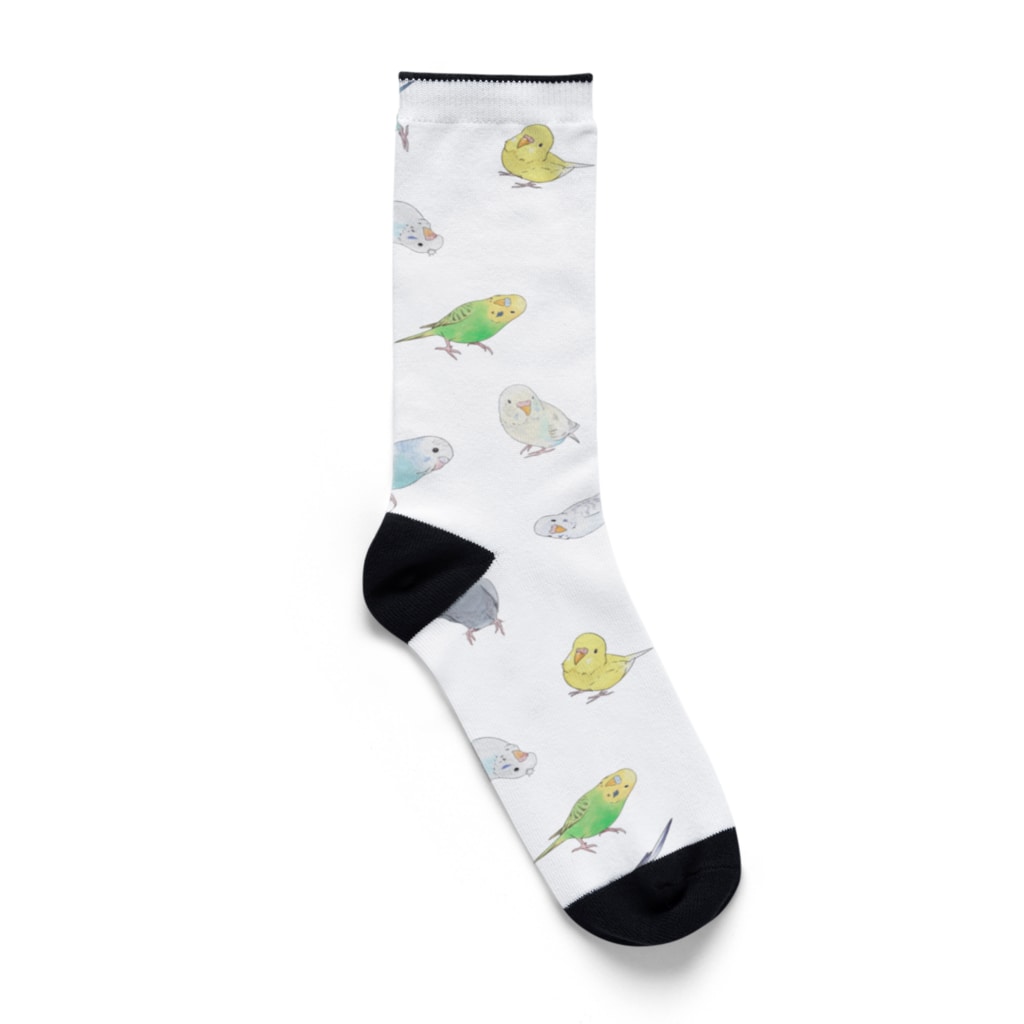 まめるりはことりのたっぷりセキセイインコちゃん【まめるりはことり】 Socks