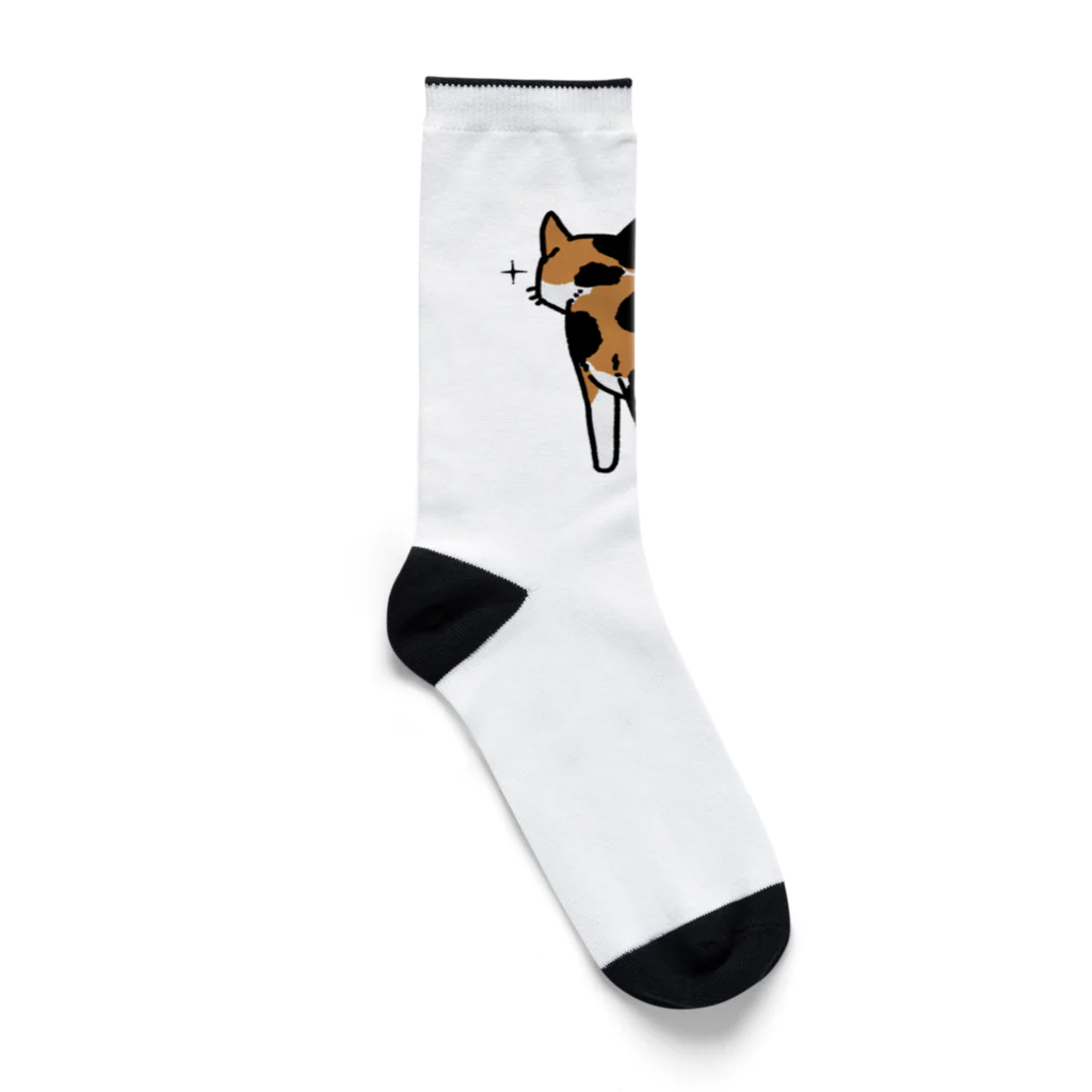 Riotoのねこけつω（三毛猫） Socks