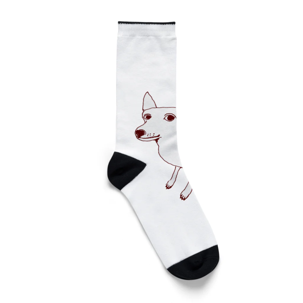 NIKORASU GOのミニピンデザイン「お座り中」（Tシャツ・パーカー・グッズ・ETC） Socks