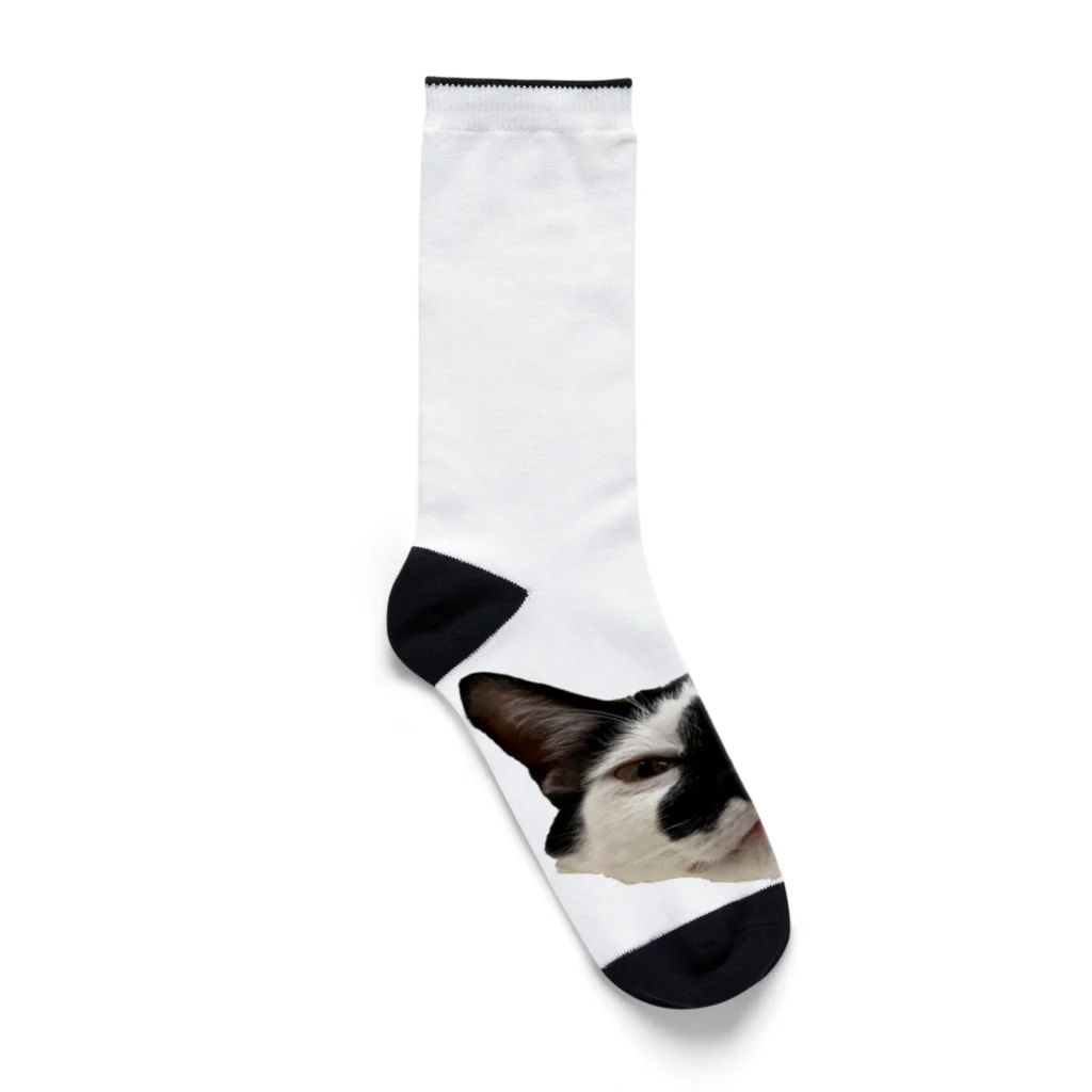 猫とムシののっそりクロム Socks