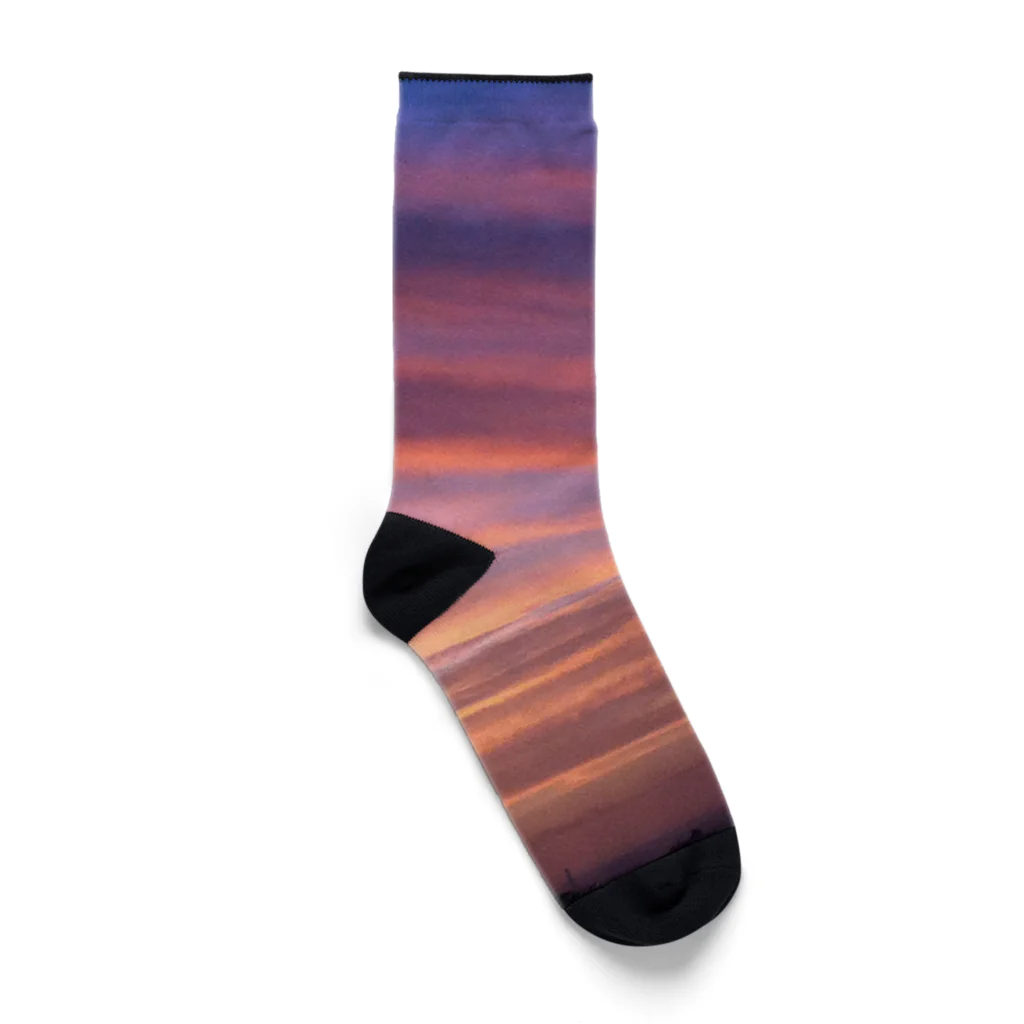 ArtWillの夕景1 Socks