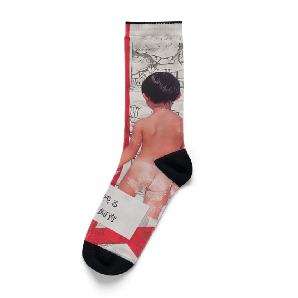 the KINKY Designのネバーランド（ design: kohei itatani） Socks