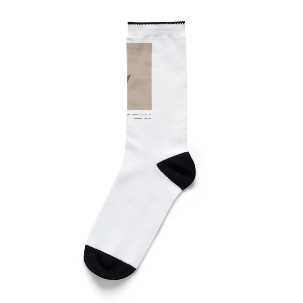 rilybiiの夕焼けとチューリップ Socks