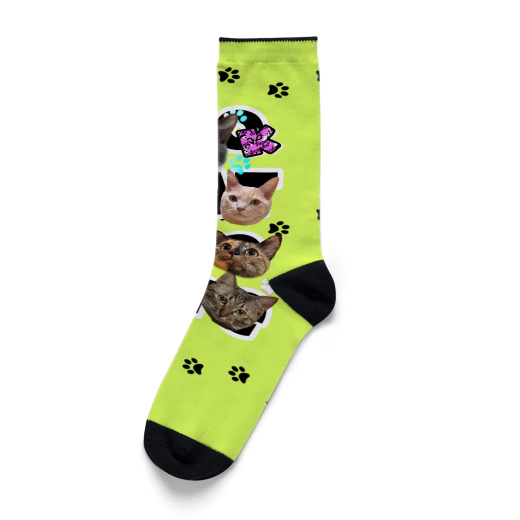 くぅTikTok猫部のTikTok猫部肉球柄ソックス Socks