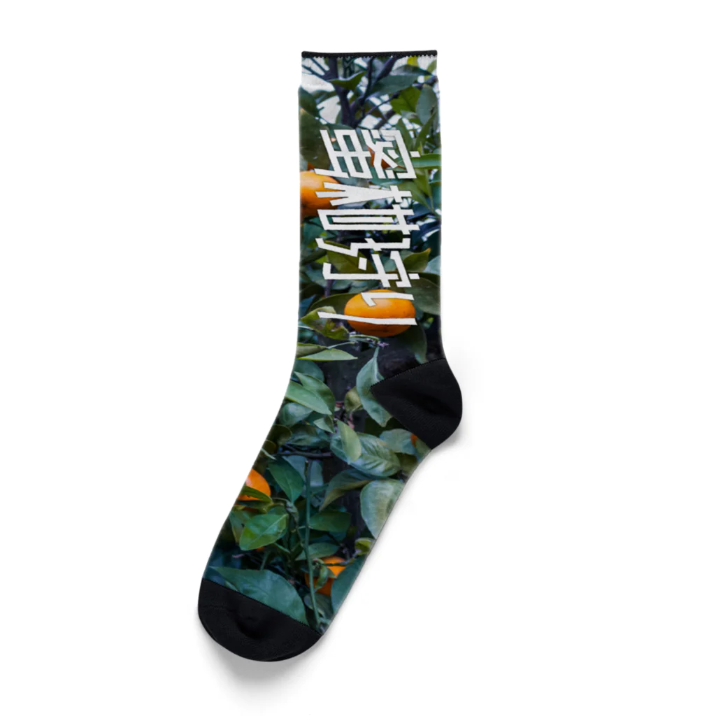 SHRIMPのおみせの蜜柑狩り Socks