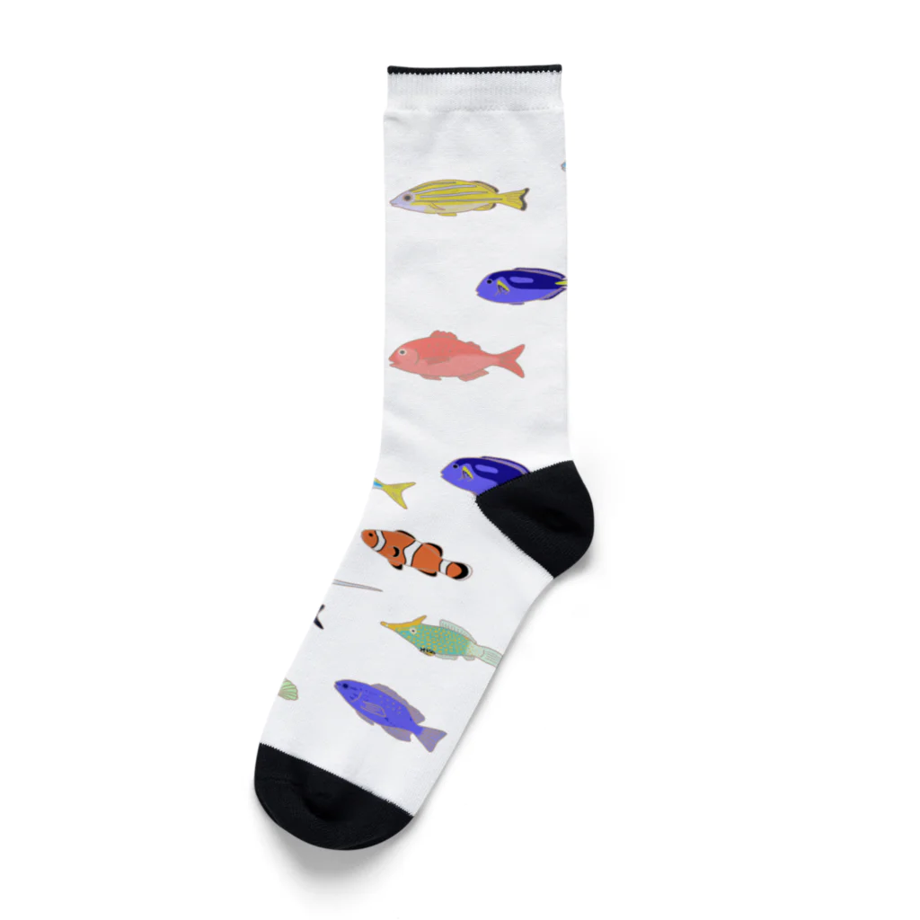 ハナのお店のカラフルな魚たち Socks