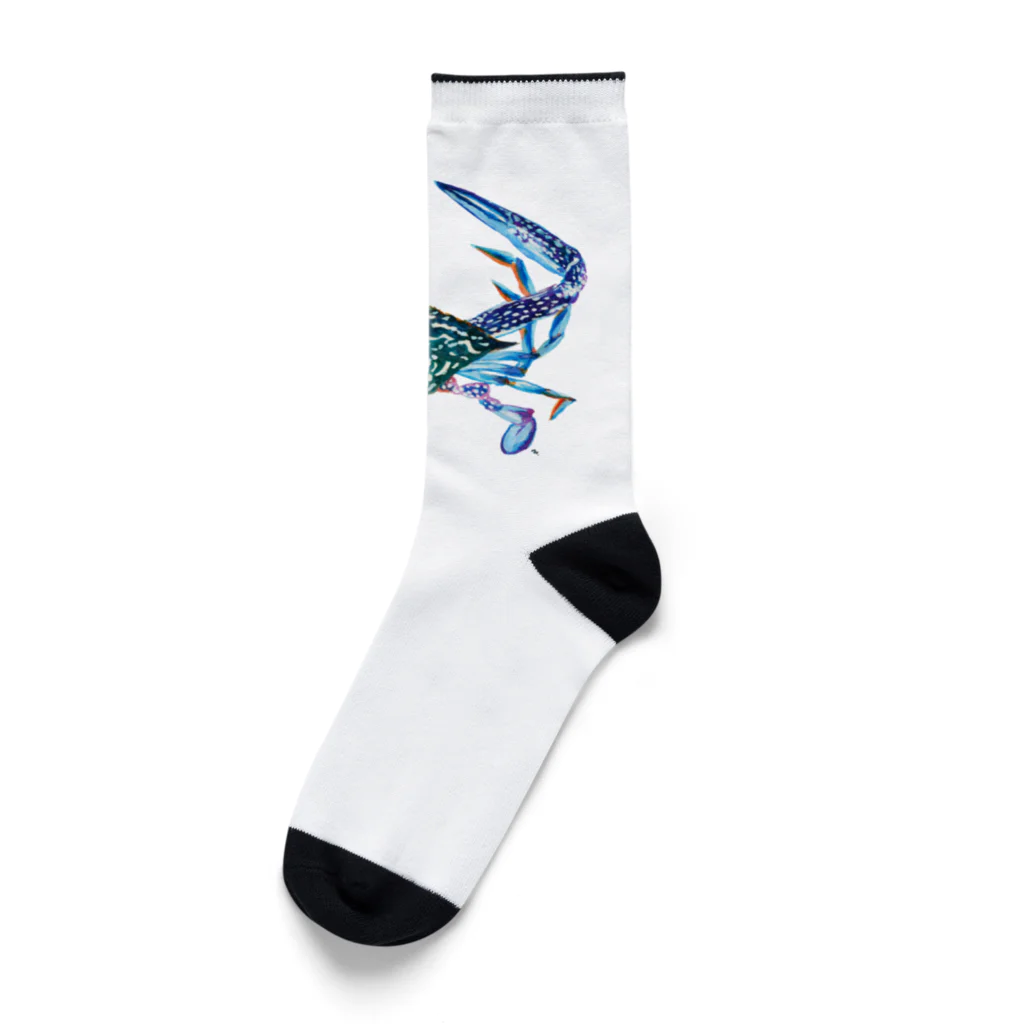 segasworksのガザミ Socks