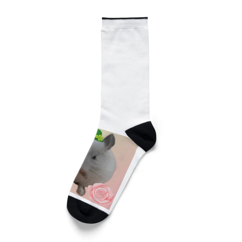 さおりんとチンチラのお家のらむくん Socks