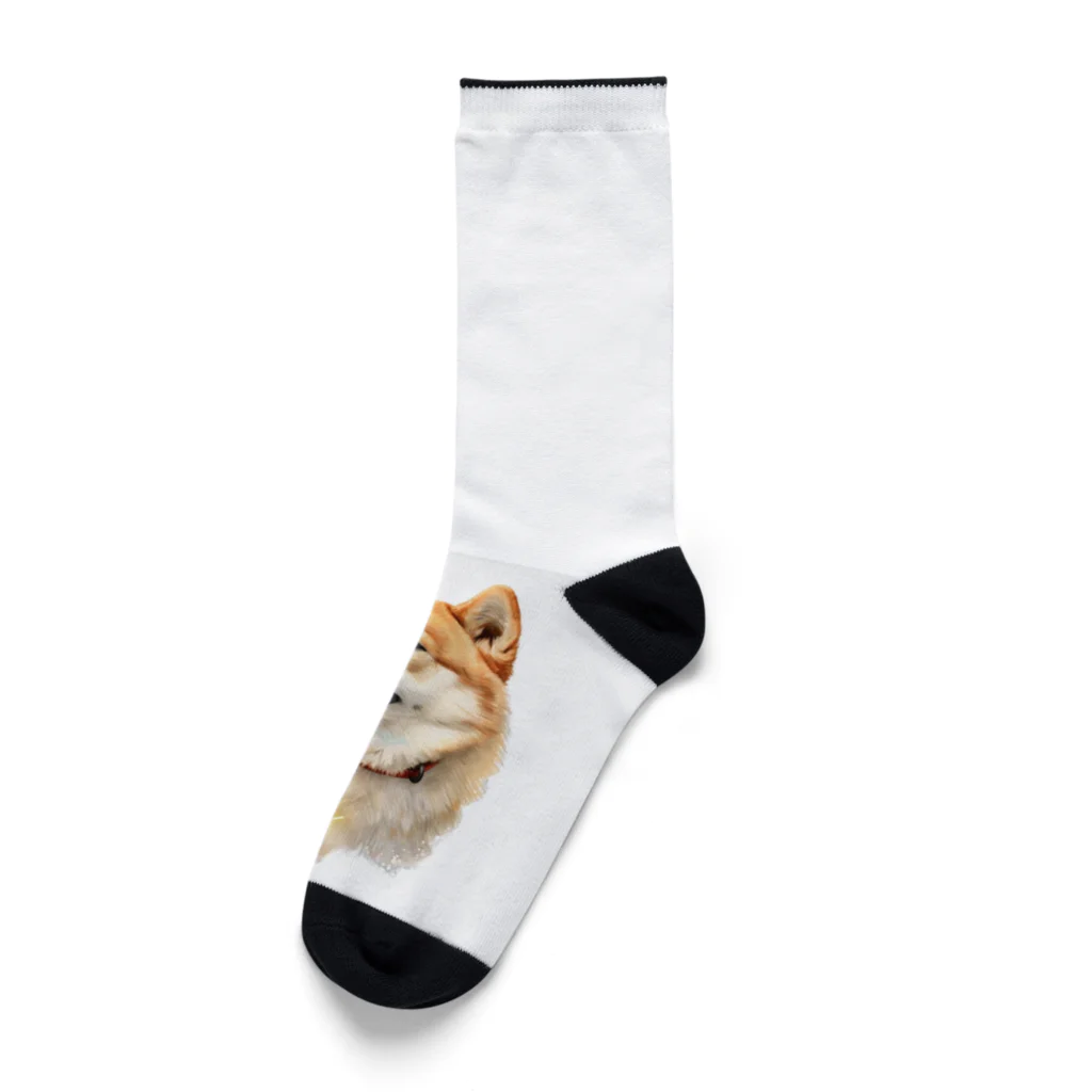 デジタルキャンバスの"シバワンダー" 柴犬愛好家Tシャツ Socks