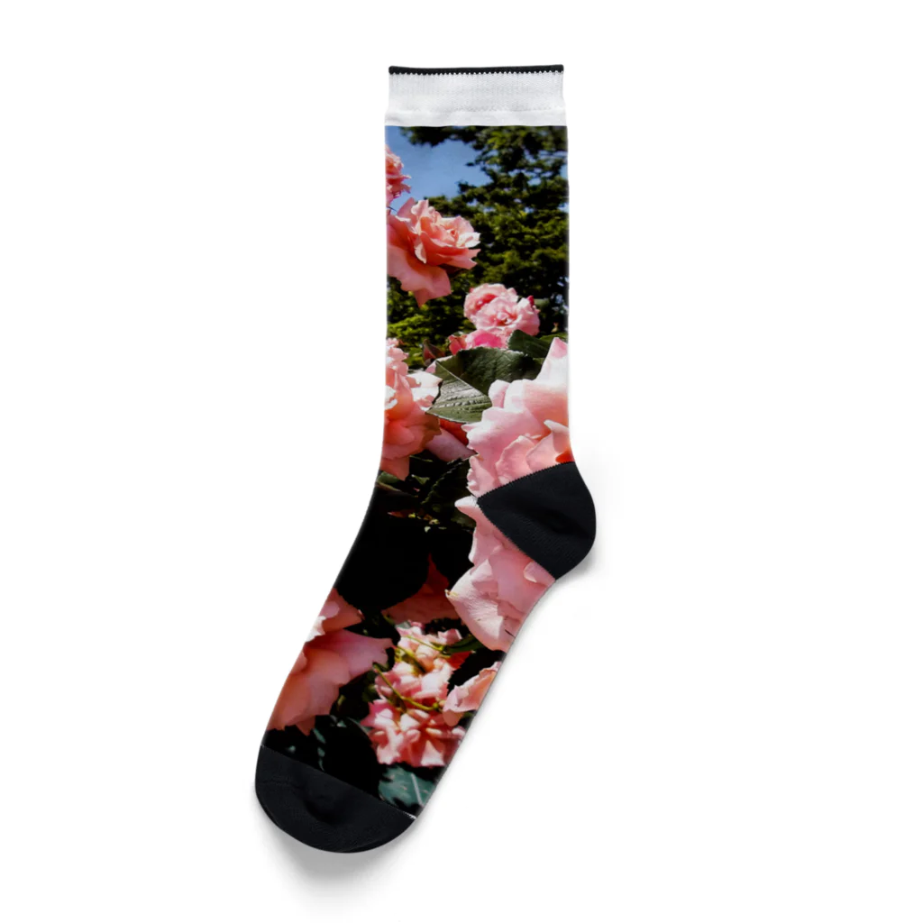 ohkのバラ庭園 Socks