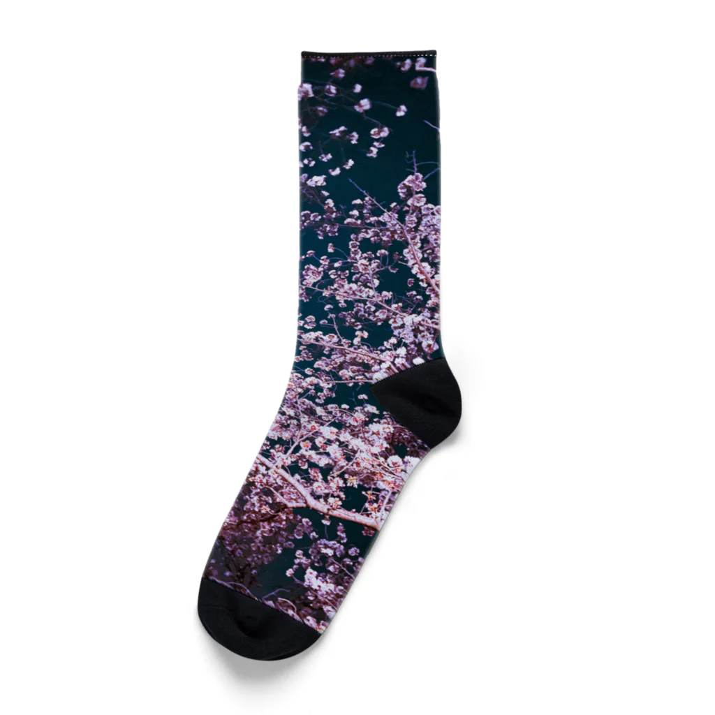 wadaFのYozakura Socks