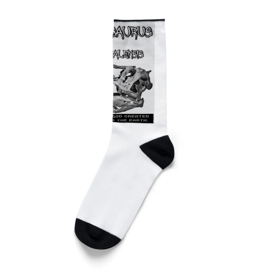 🌙12moonMonsterZ🌙のティラノサウルスvsネアンデルターレンシス Socks