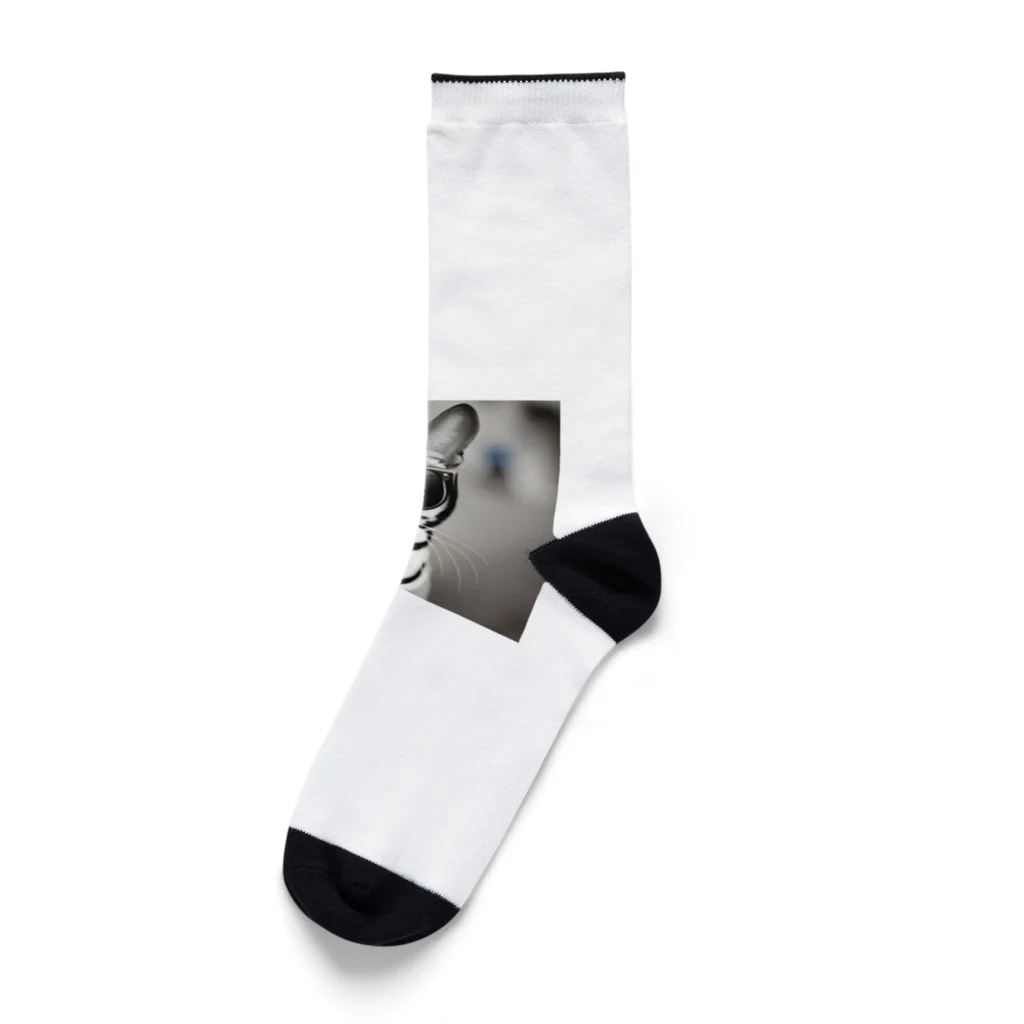 ニャーニャーニャーのサングラスネコ Socks
