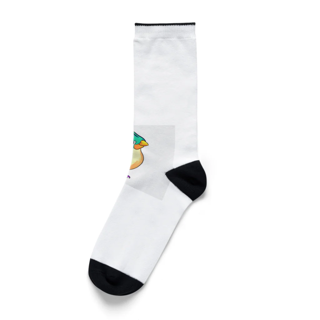 Kuronicoのbird Socks