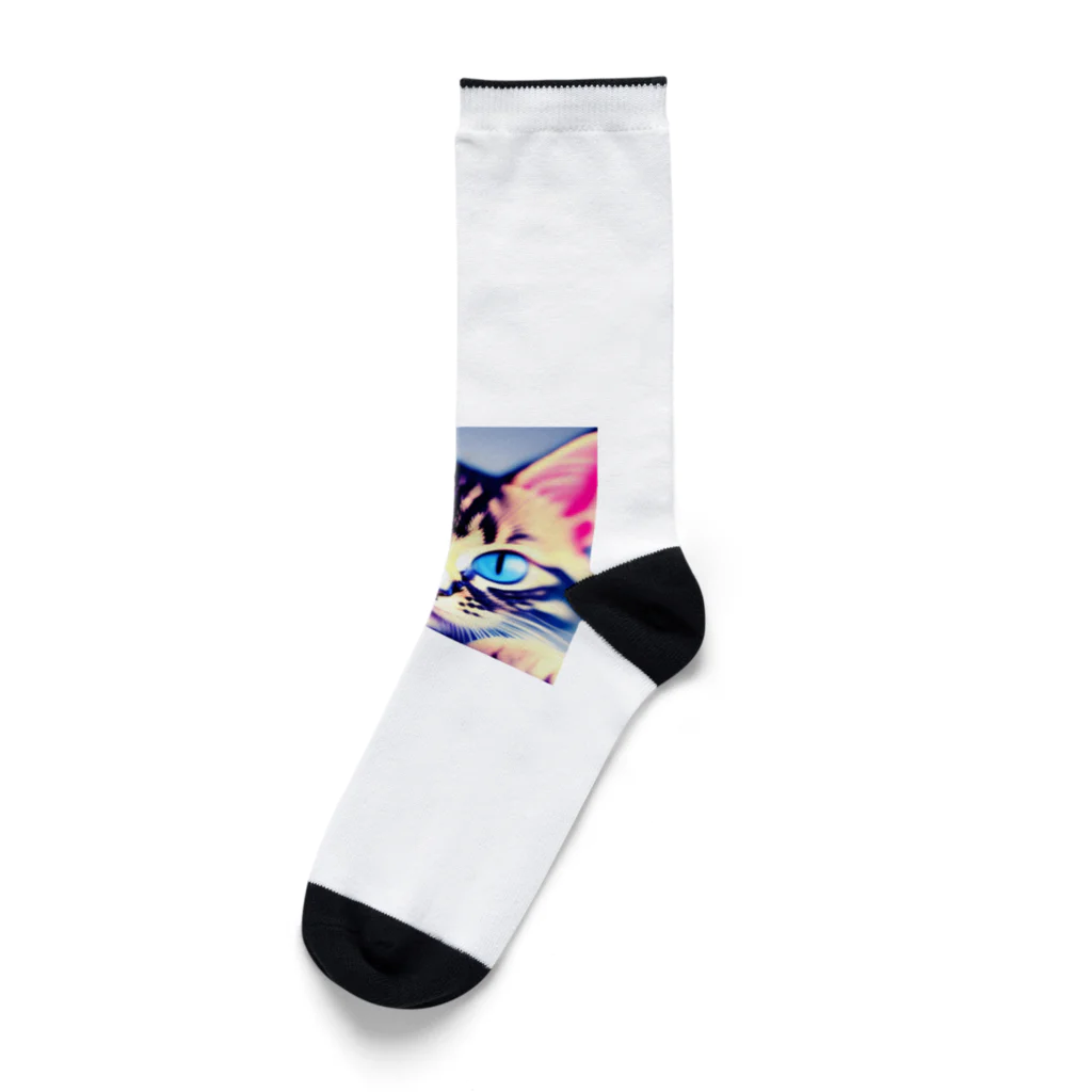 Hiyatanuのかわいい子猫 Socks