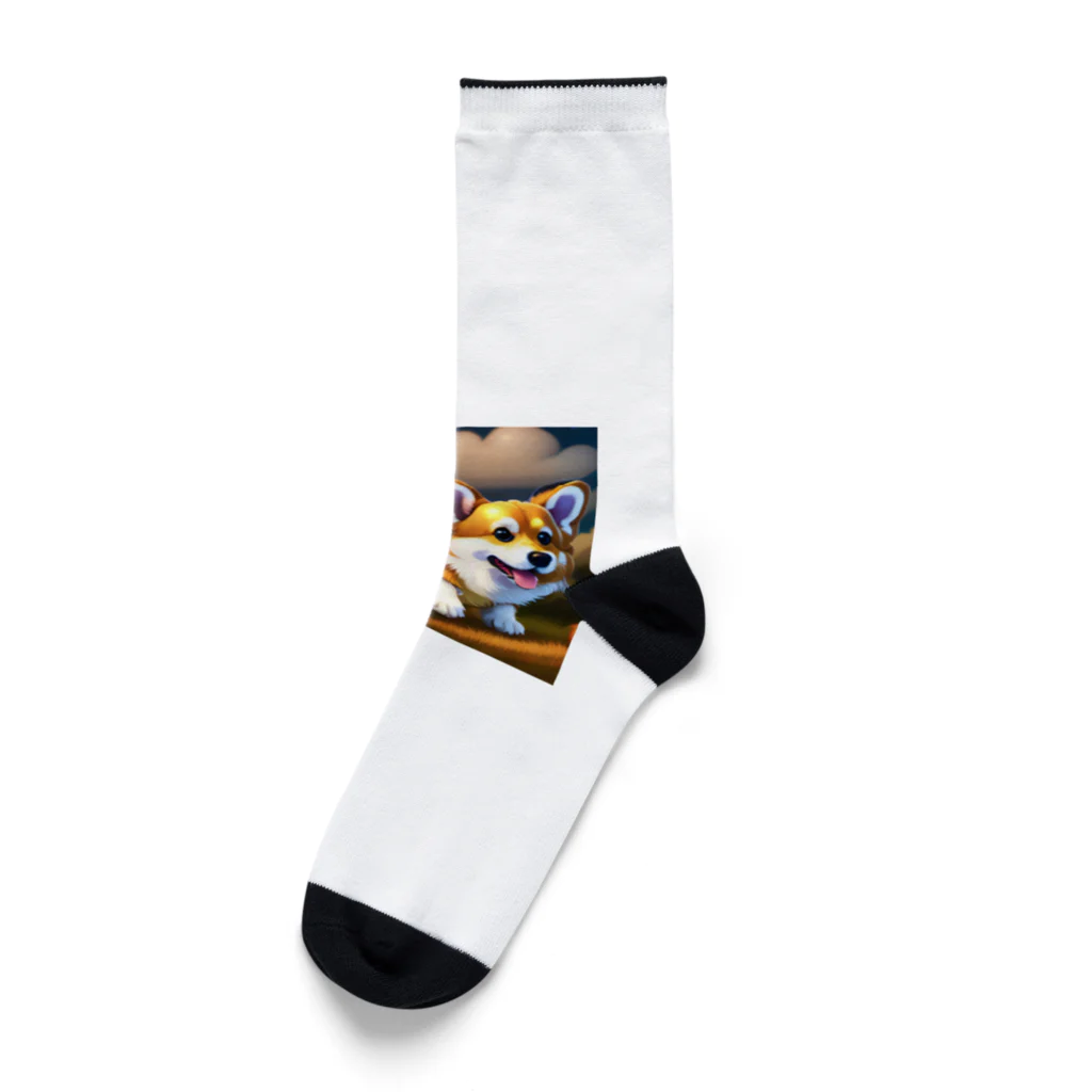 たらたらこっこのコーギー Socks