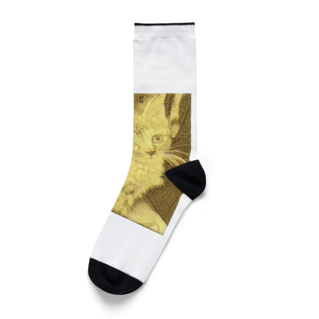 金色猫のキラキラネコ Socks