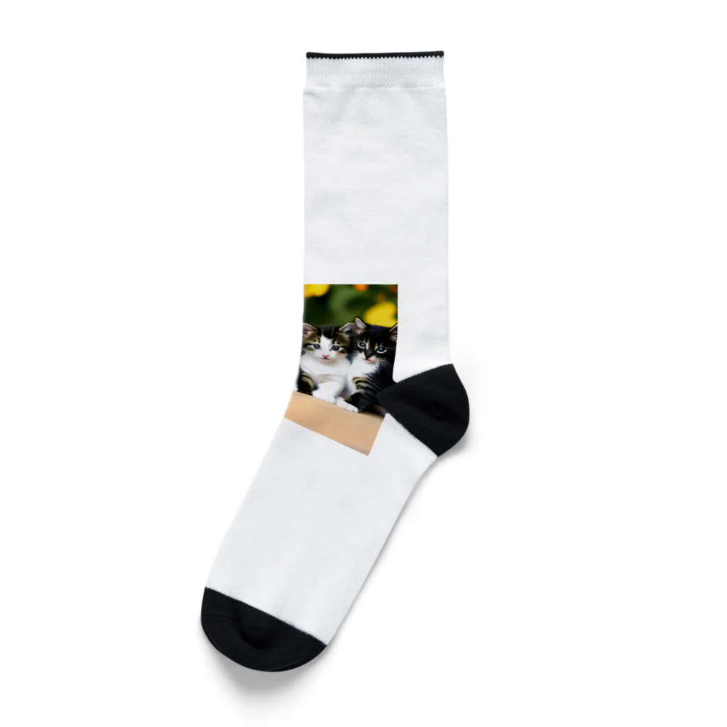 癒されショップのかわいいニャンコグッズ Socks