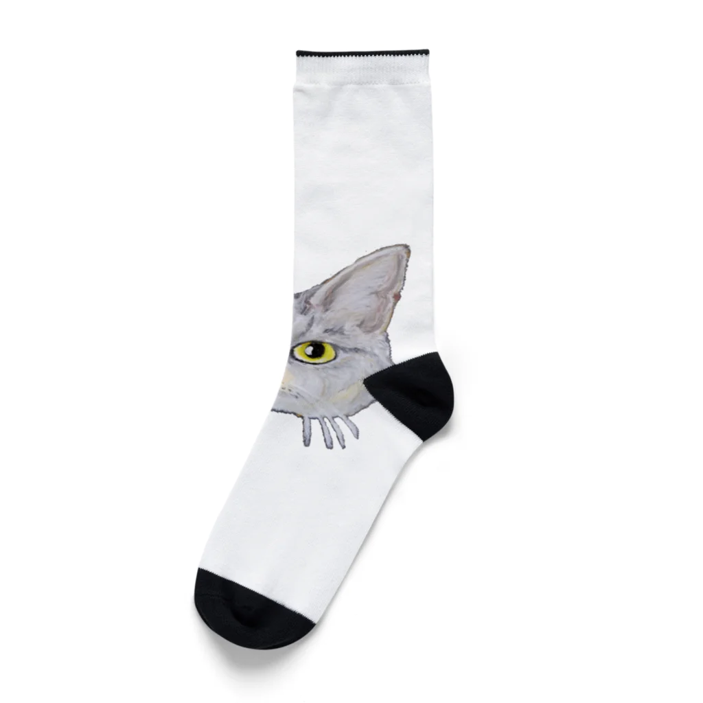 れいにゃん堂&れいにゃあ～と😺のチョークアートのキジトラ猫😸 Socks