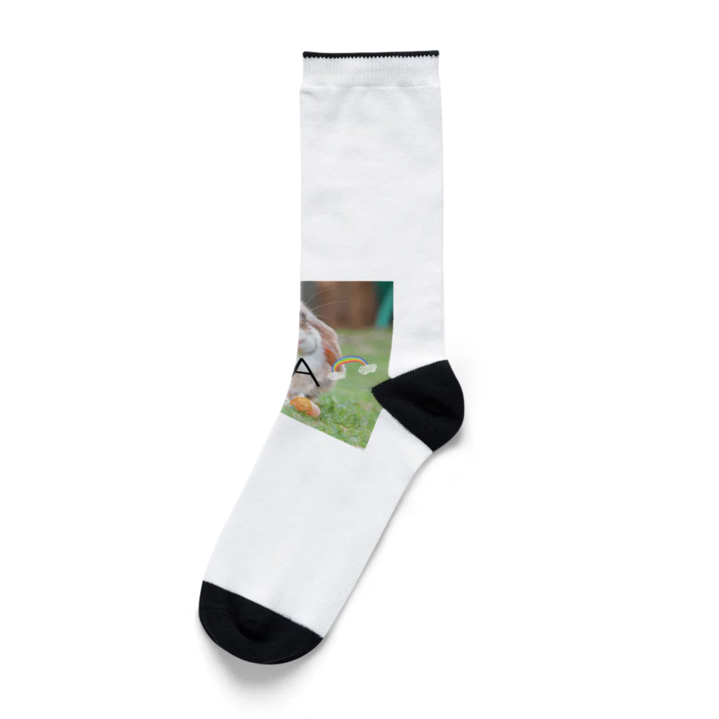 HANIのウサギデザイン Socks