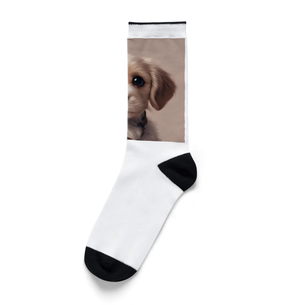 kunkun1048のめちゃカワ犬 Socks