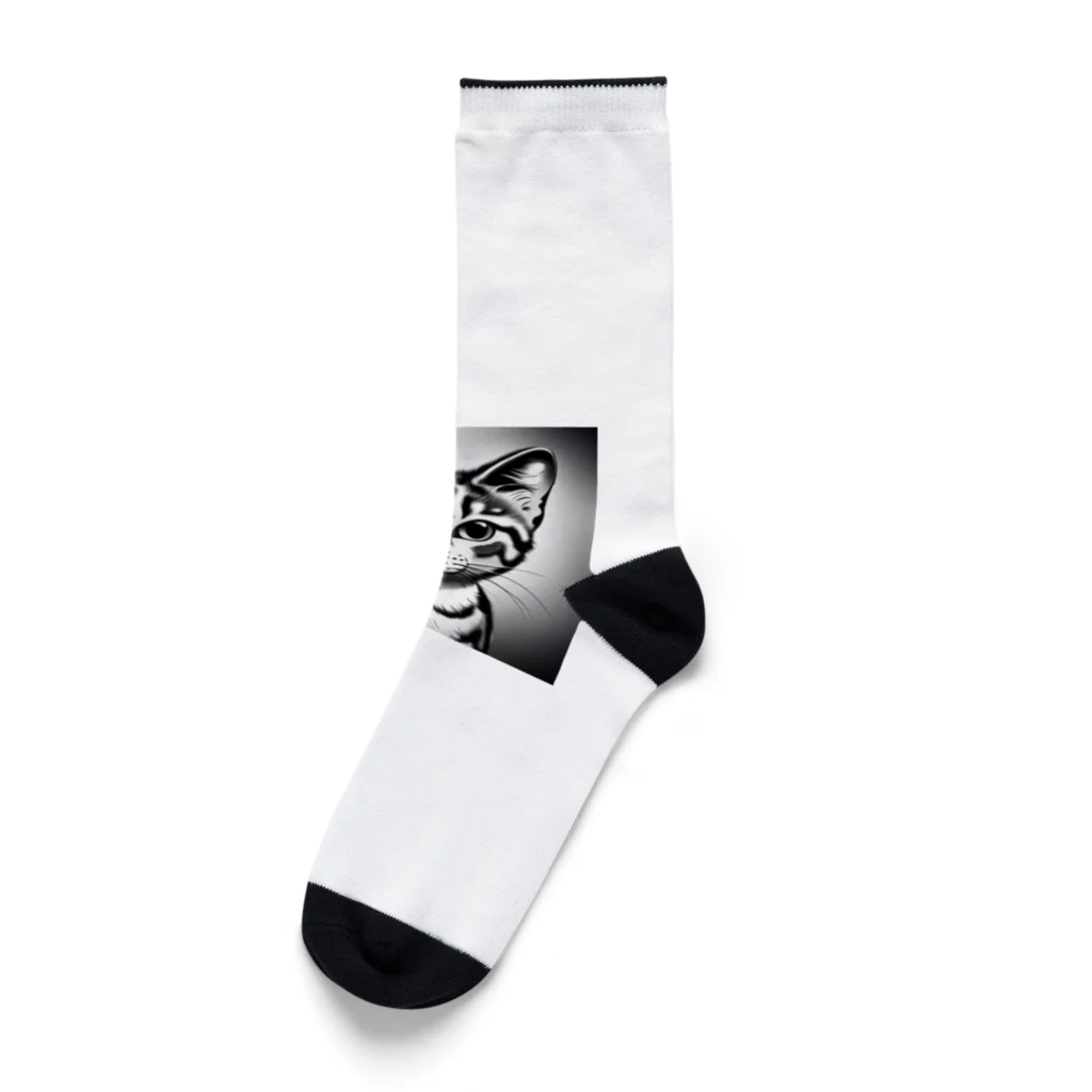 9neko6のサーバル Socks