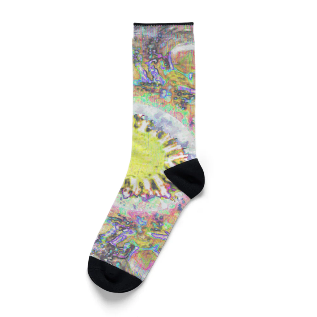 水草のサイケデリックな太陽 Socks