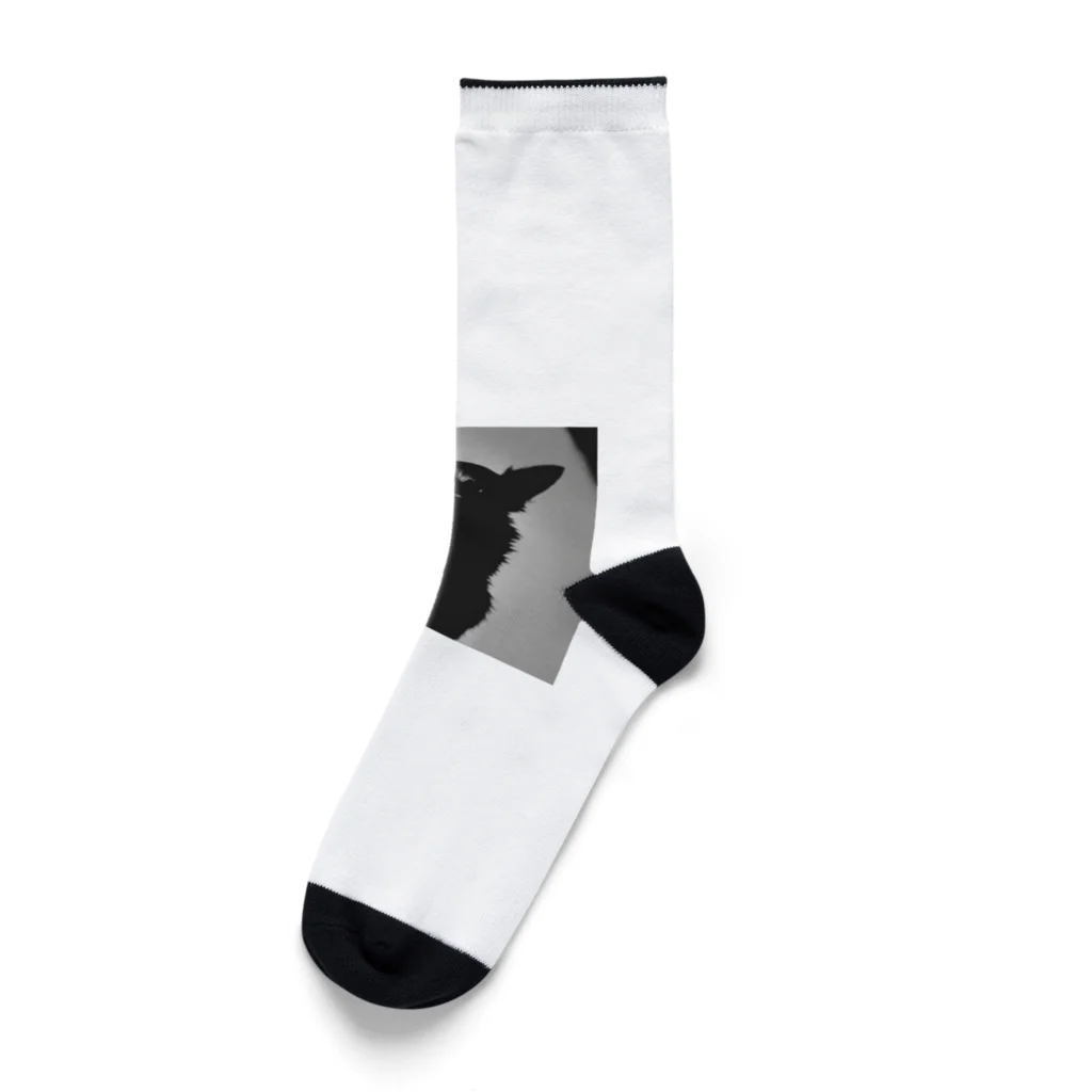 チワワ愛好家ショップのモノクローム・カノン：チワワのスタイル Socks